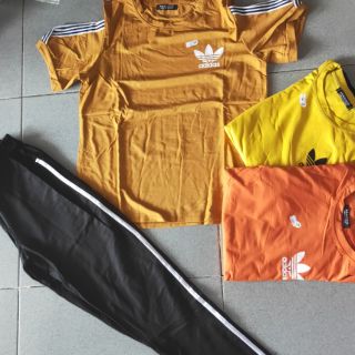 Đồ bộ thương hiệu mango