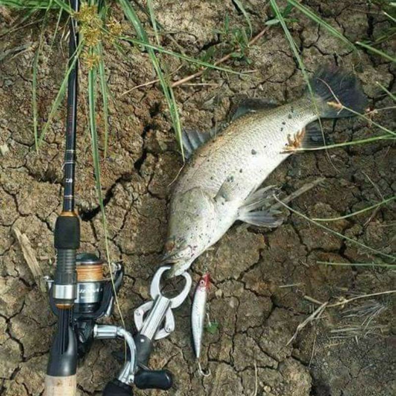 Mồi câu Bearking, Tsurinoya DW18 10g 90mm 0-0,6m