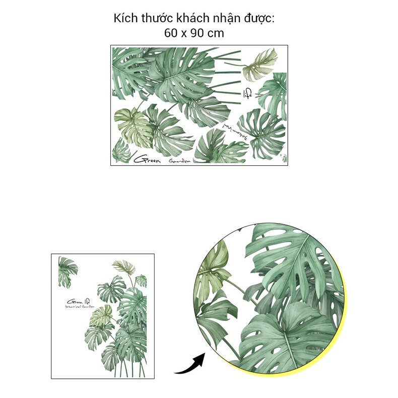 Decal dán tường lá cây nhiệt đới