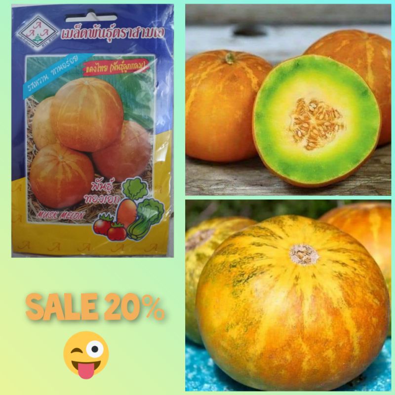 Hạt giống dưa bở thơm quả tròn Thái Lan gói 50 hạt