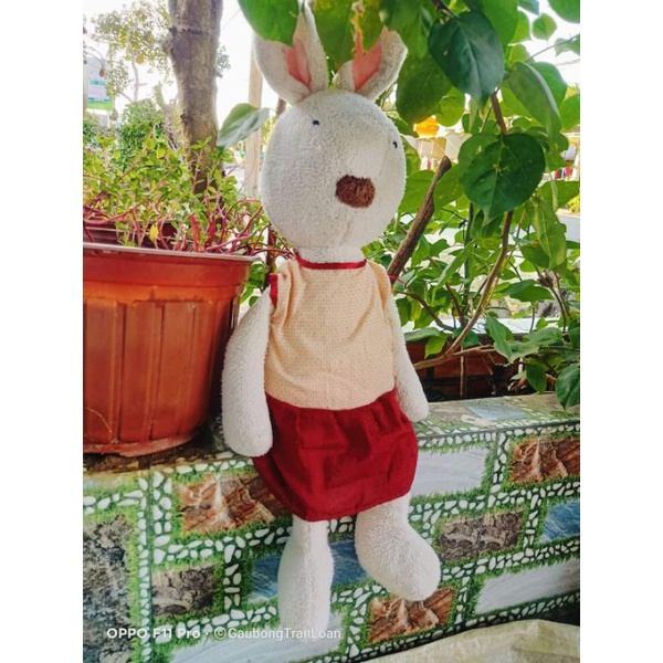 Gấu bông thỏ quý tộc size 60cm