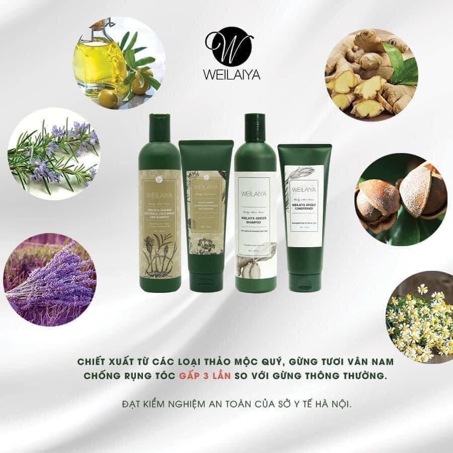 Dầu gội Weilaiya, dầu gội gừng , 100% từ thiên nhiên