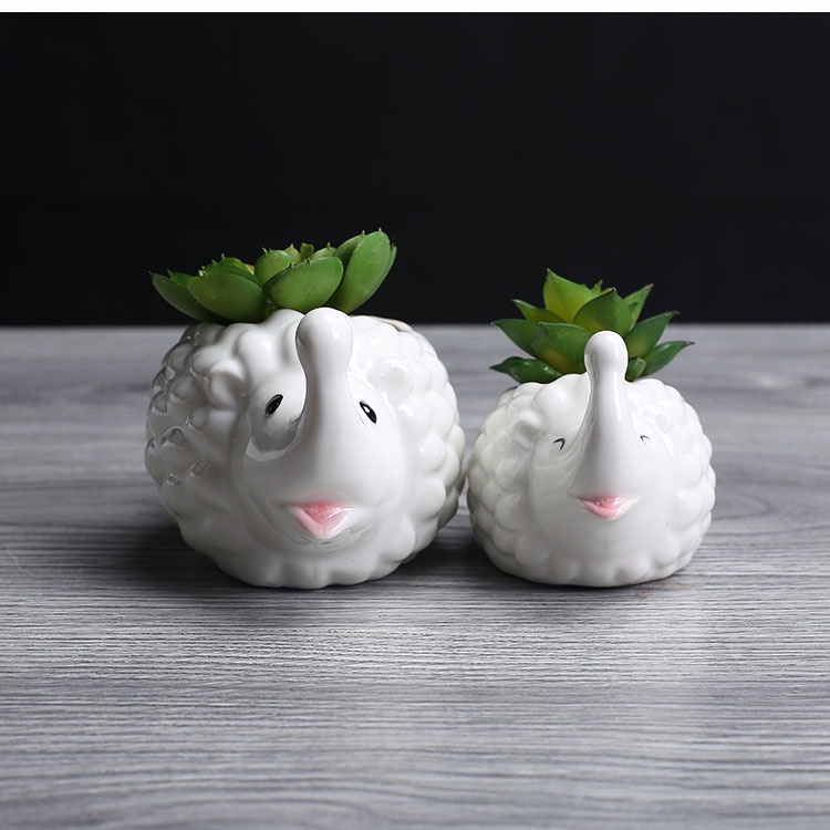 Chậu Trồng Cây Sen Đá Đôi Nhím Mẹ Con Làm Quà Tặng Để Bàn Văn Phòng