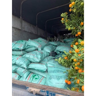 Đất sạch trồng rau bao 10kg