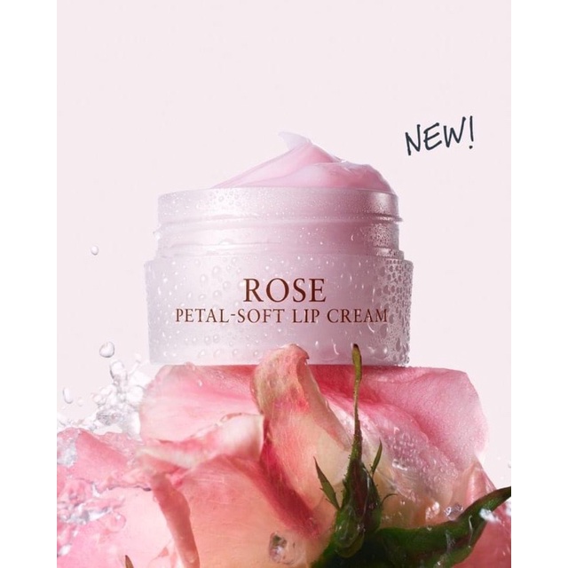 Hũ Dưỡng Môi Hoa Hồng Rose Deep Hydration Petal Soft Lip Balm