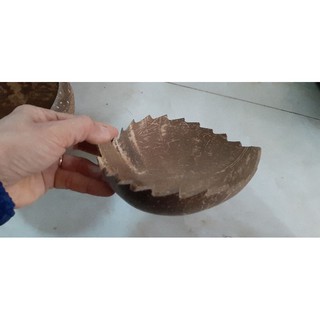 Dĩa gáo dừa răng cưa / Chiếc lá răng cưa bằng gáo dừa