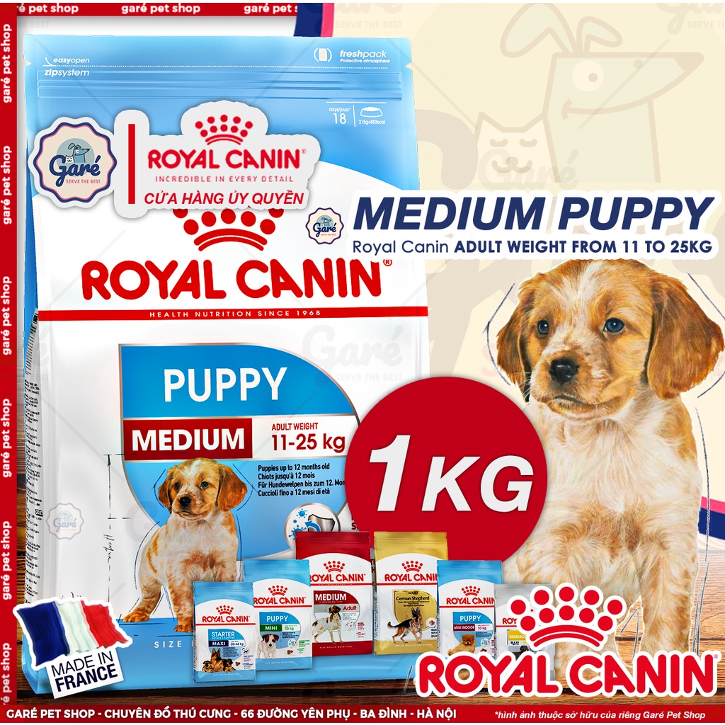 1kg - Hạt Medium Puppy Royal Canin cho Chó con giống vừa khi lớn đạt 11-25kg - MEDIUM ADULT PUPPY Garé Pet Shop