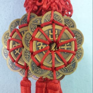 Hoa mai kim tiền
