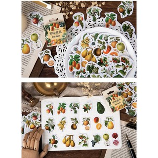HỘP STICKER FRUIT FLAVOR