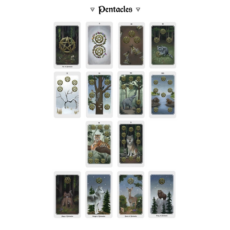 Bộ bài tarot kèm sách hướng dẫn
