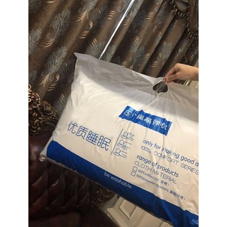 combo 2 Ruột Gối Cao Cấp Hilton