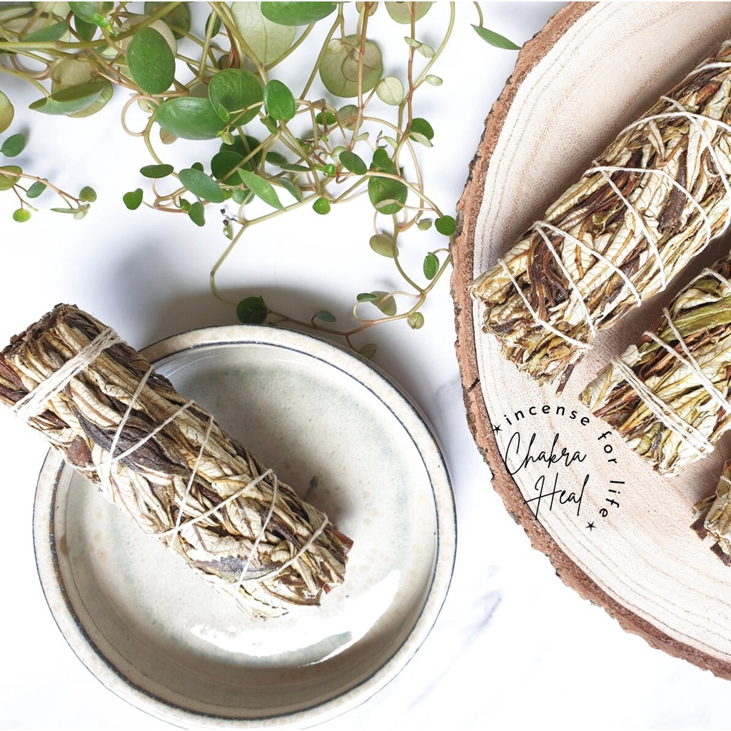 Set Thảo Mộc Xông Nhà Chữa Lành Năng Lượng - Yerba Santa, White Sage Smudge Palo Santo Wood l CHAKRA HEAL INCENSE