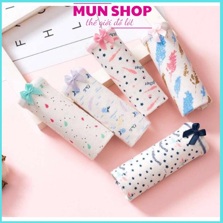 túi 5 quần lót cotton cao cấp