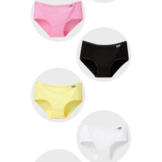 Combo 10 Quần Lót Nữ Cotton Pulo