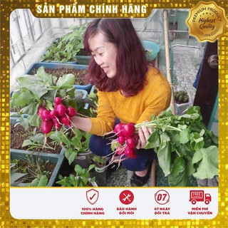 Bộ gói hạt giống Củ cải đỏ