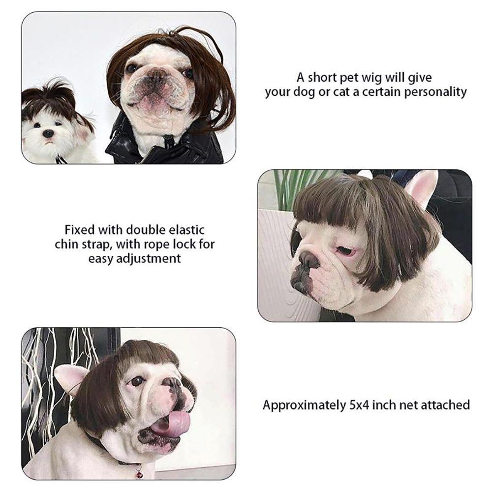 Bộ Tóc Giả + Mũ Dùng Hóa Trang Halloween Cho Thú Cưng
