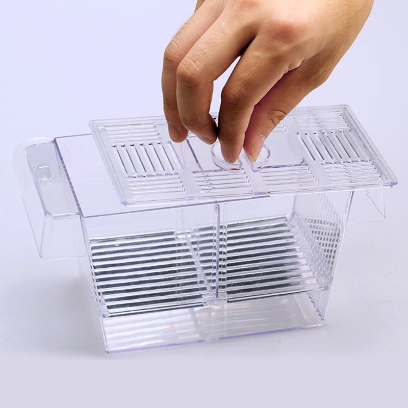 Hộp Nuôi Cá Bằng Nhựa Tiện Dụng