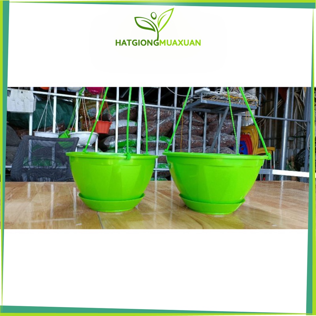 Chậu treo tự dưỡng kèm đĩa hứng nước_Chậu nhựa treo nhỏ thông minh có đĩa rời trồng hoa cây cảnh