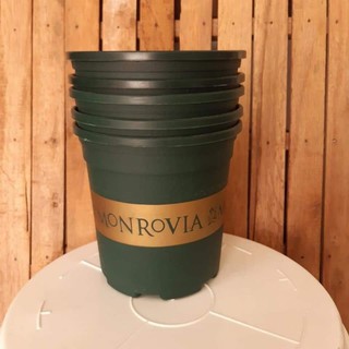 Chậu nhựa trồng cây Monrovia 1GAL/2GAL/3GAL/5GAL (chậu 1 gallon)