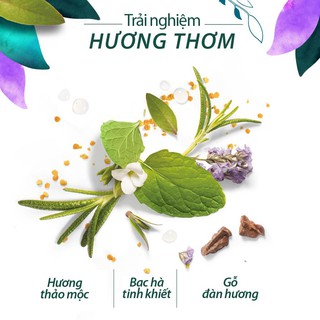 Dầu Xả Herbal Essences Chai 400ml