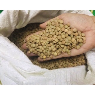 1kg Đậu lăng xanh hữu cơ Ấn Độ