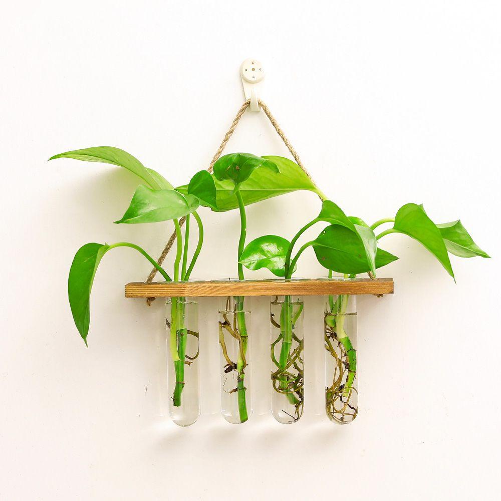 LEISURE Chậu Hoa Thủy Canh Khung Gỗ Treo Tường Trang Trí Nhà Cửa