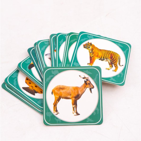 Bộ thẻ động vật 4D