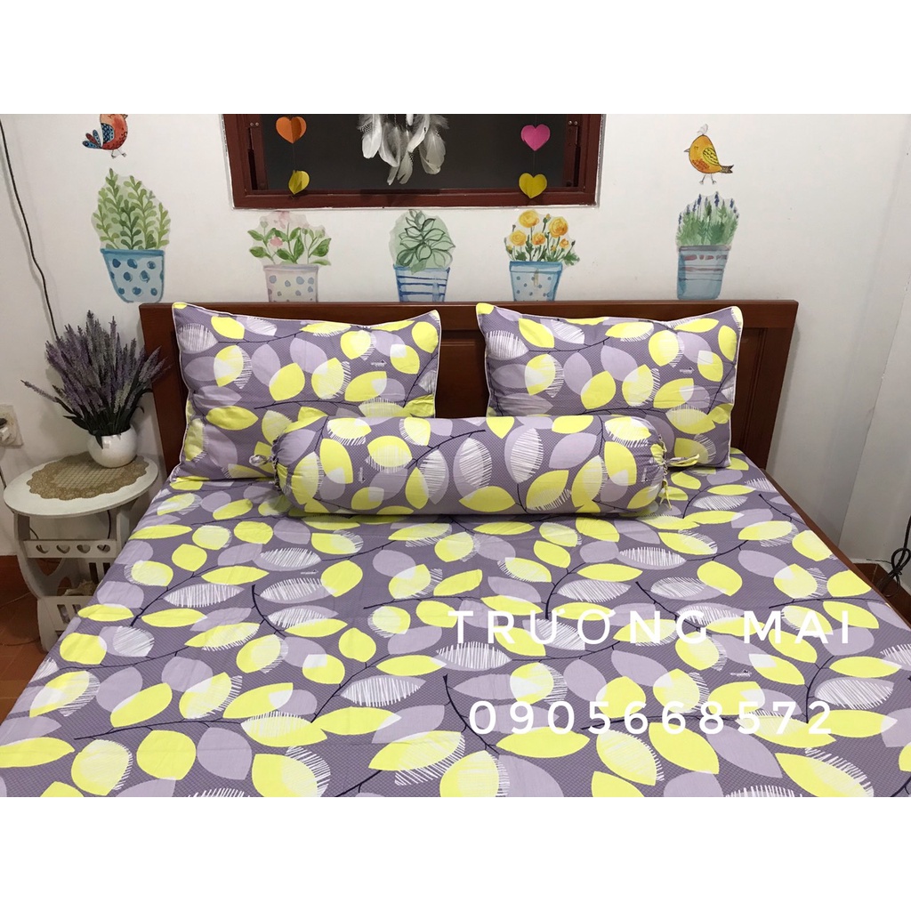 Sét 2 vỏ gối nằm 50-70 và 1 vỏ ôm 35-100 cotoon 100%