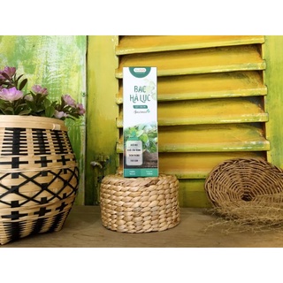 Xịt khử mùi thơm phòng Tinh dầu Bạc hà lục Vina Tươi 100ml - Tinh dầu thiên nhiên đuổi muỗi