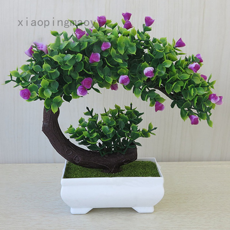 Chậu Cây bonsai Mini Bằng Nhựa Dùng Trang Trí Bàn Làm Việc