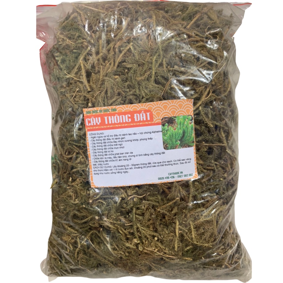 Cây Thông Đất (500g) Tốt Cho Người Teo Não, Sa Sút Trí Tuệ (Alzheimer), Thông Đất Khô Sạch, Hàng Tốt