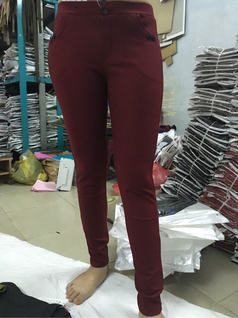 Quần thun cotton nữ