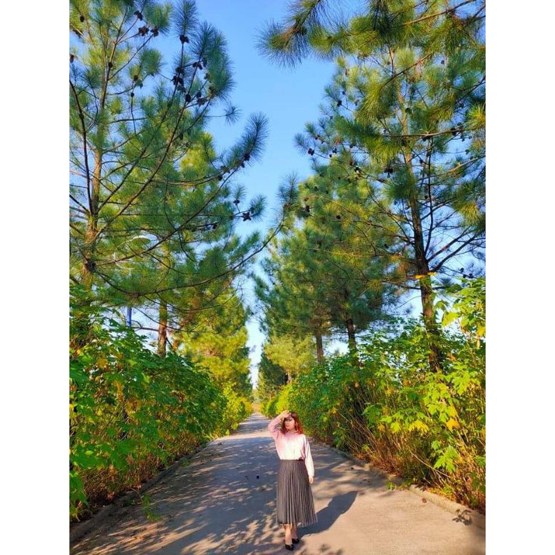 [BIGSIZE 50-100KG]Chân váy xếp ly 2 kiểu(50-90kg) | BigBuy360 - bigbuy360.vn