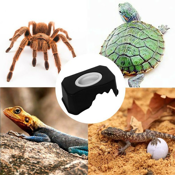 Hang trú ẩn bò sát đa năng kèm chén ăn gốm