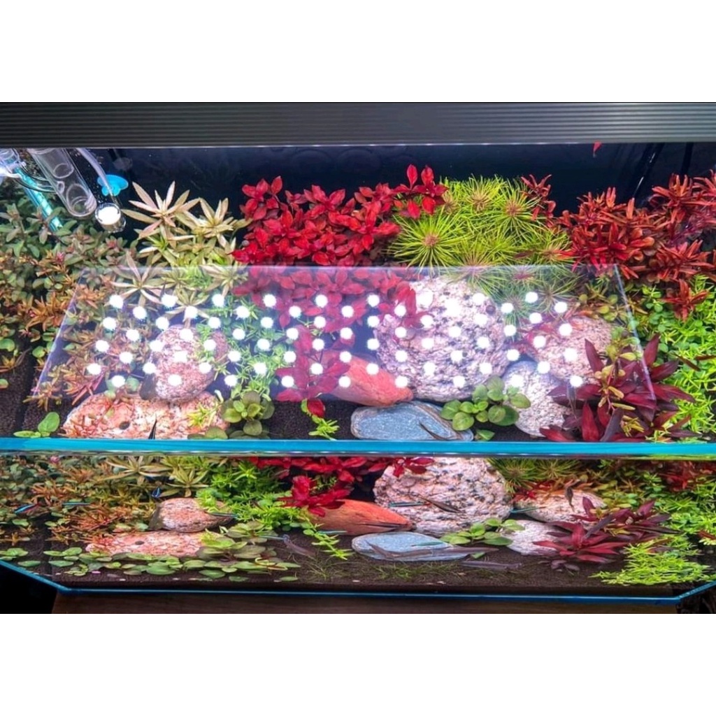Mạch led rgb 5054 lên màu siêu đẹp