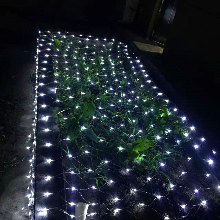 Đèn Led Trang Trí Giáng Sinh 3x2