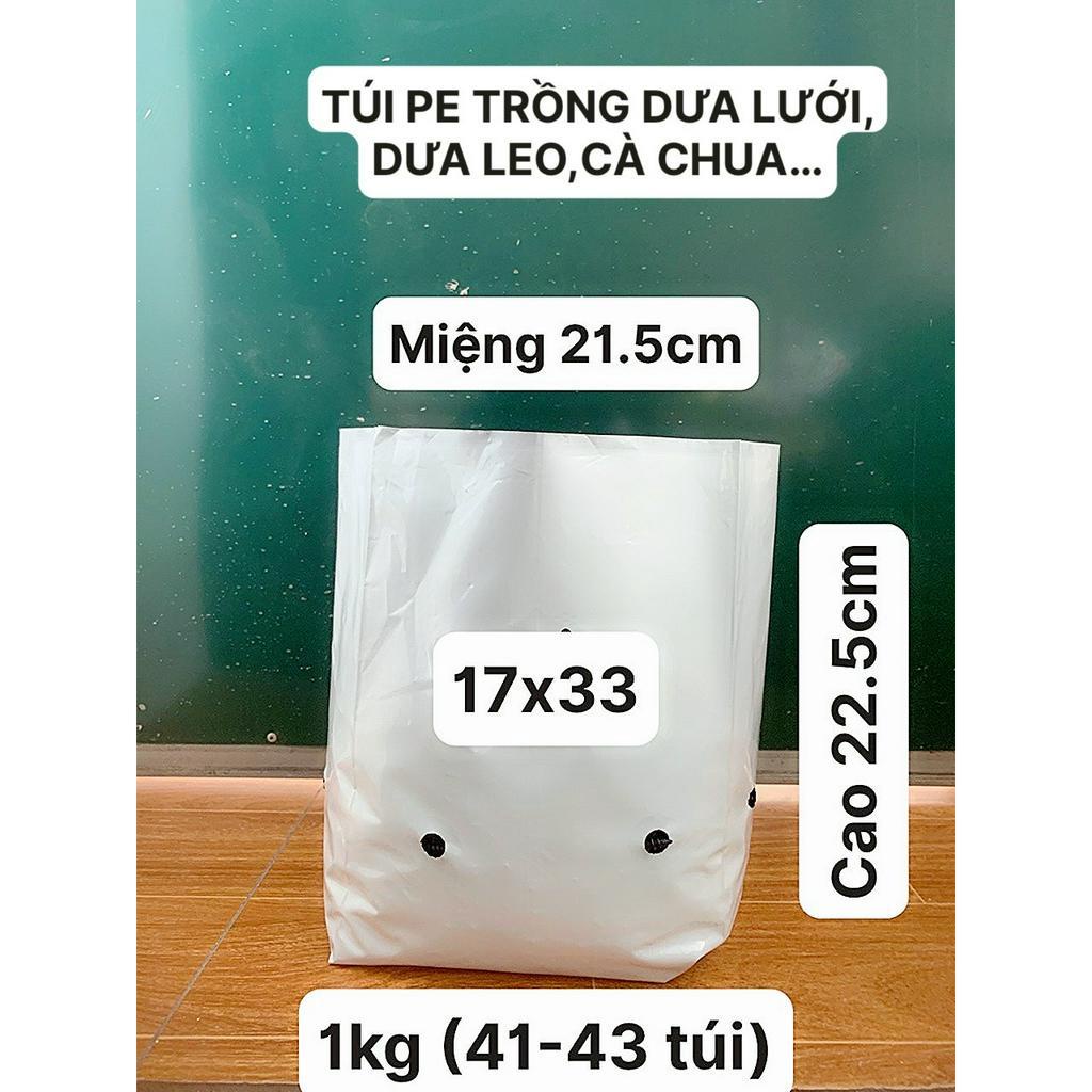 TÚI PE TRỒNG DƯA LƯỚI ,DƯA LEO, CÀ CHUA...(LƯỚI CHE NẮNG, DÂY LÀM GIÀN LEO, BẠT PHỦ NGĂN CỎ...)