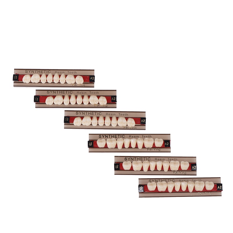 Hộp 84 Hàm Răng Giả Bằng Nhựa Polymer