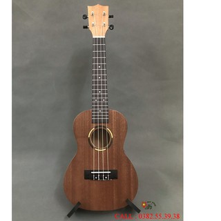 Đàn ukulele concert 23inch mt17