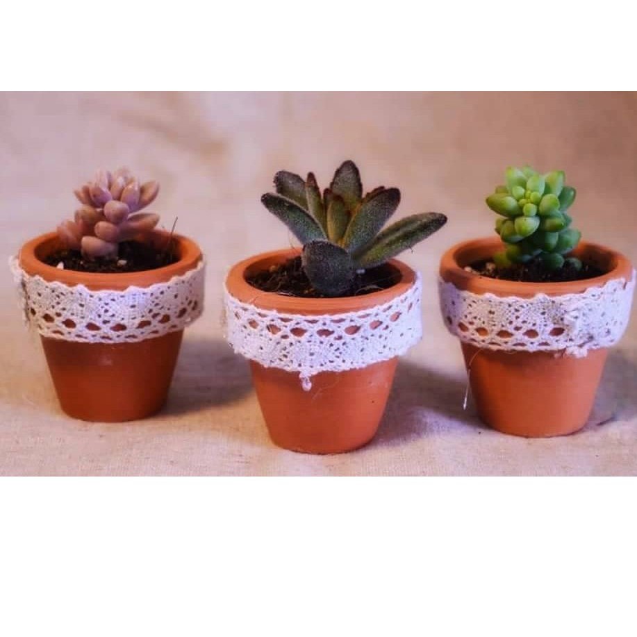 Chậu đất nung 7x7 cm (KÈM DĨA LÓT) trồng cây cảnh nội thất, cây mini, sen đá, xương rông