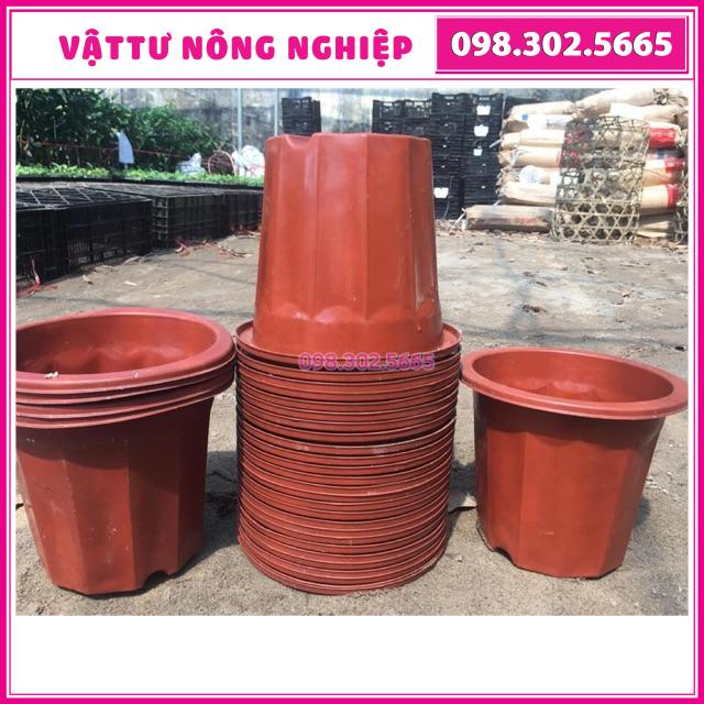 Combo 5 chậu nhựa trồng cây E330 (28x18x25cm)