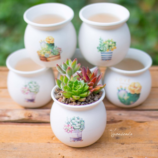 Chậu sứ miệng loe 8x9.5cm - In hình