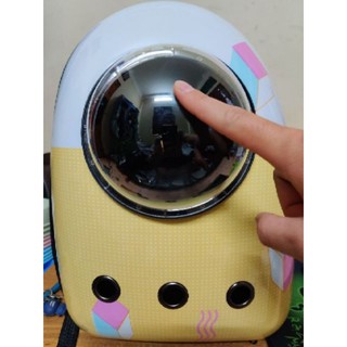 BALO PHI HÀNH GIA CHO THÚ CƯNG