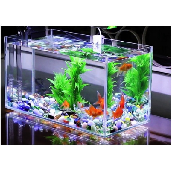 Đá phong thủy vụn trang trí bể cá