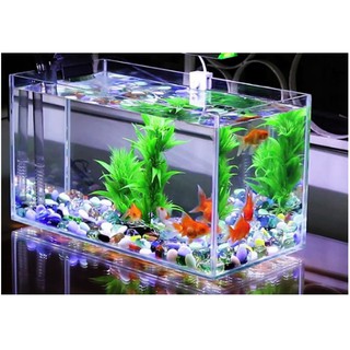 Đá phong thủy vụn trang trí bể cá