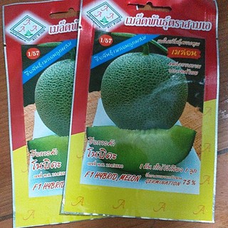 Dưa lưới  ruột  xanh