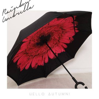 Dù ngược / Dù cầm tay / Reverse Umbrella