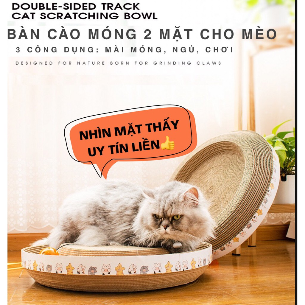 Bàn cào móng cho mèo kết hợp ổ nằm đủ các mẫu