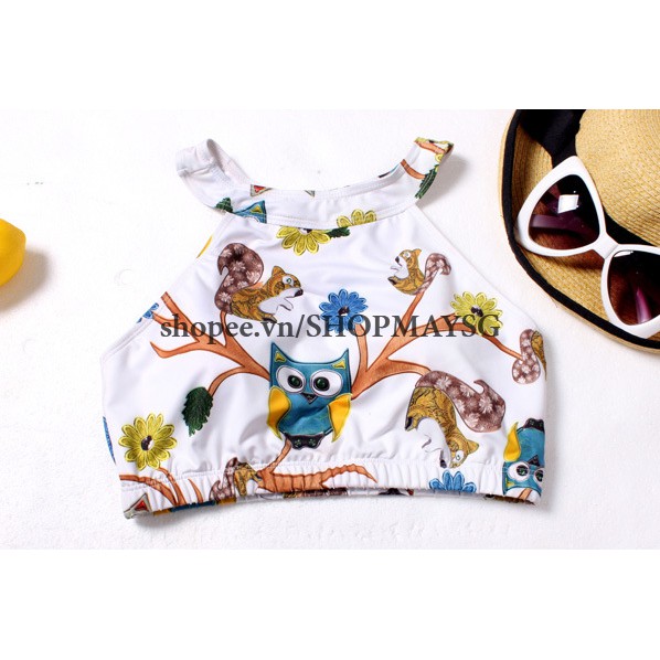 Bikini 2 Mảnh Sắc Màu Phong Cách Hàn Quốc - AT015 Shop Mây SG (bikini đồ bơi) | BigBuy360 - bigbuy360.vn