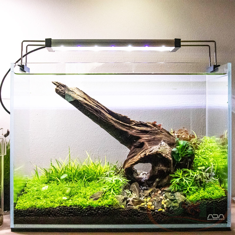 [Xả hàng tồn] Đèn led Twinstar B-Line 90B, 120B quang phổ cao cấp bể cá tép thủy sinh